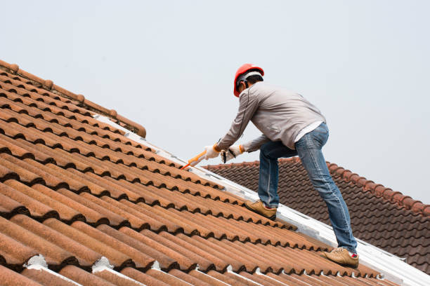 Best Metal Roofing Installation  in Harwood Heights, IL