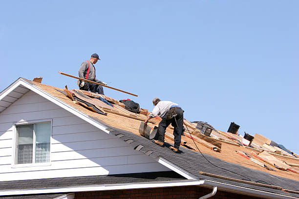 Professional Roofing services in Harwood Heights, IL